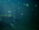 Diver practicing search with blackout mask